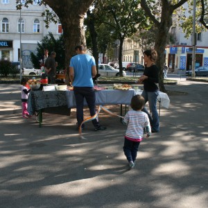 IMG_4510