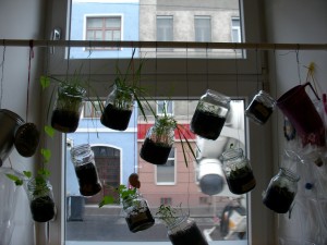 Kaatschi_Activity_00013