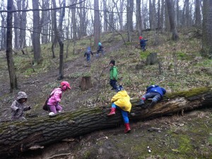 Kaatschi_Activity_00011 